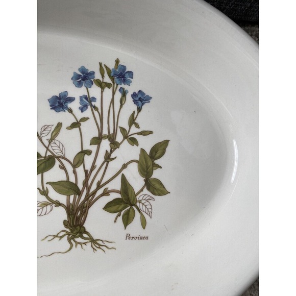 Portmeirion Botanic Garden Gypsophila Oval Serving Platter 16 inch England